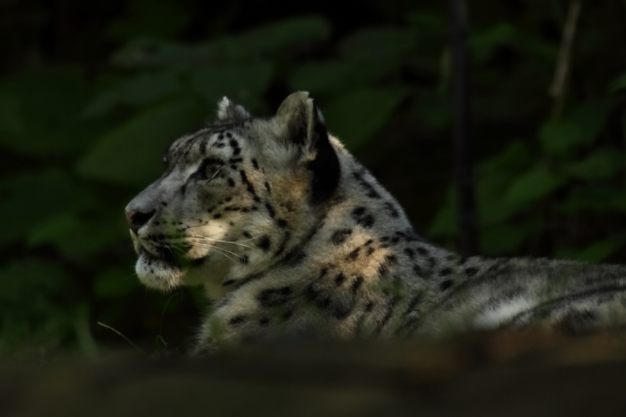 2013 09 20 HTP 08640